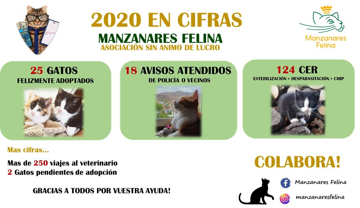 135745351_220819402882241_7797318681302393270_n