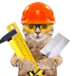 portrait-builder-cat-tools-paws-portrait-builder-cat-tools-paws-isolated-white-background-139354413 portrait-builder-cat-tools-paws-portrait-builder-cat-tools-paws-isolated-white-background-139354413
