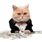 red-cat-sitting-dollar-white-background-35405482 red-cat-sitting-dollar-white-background-35405482